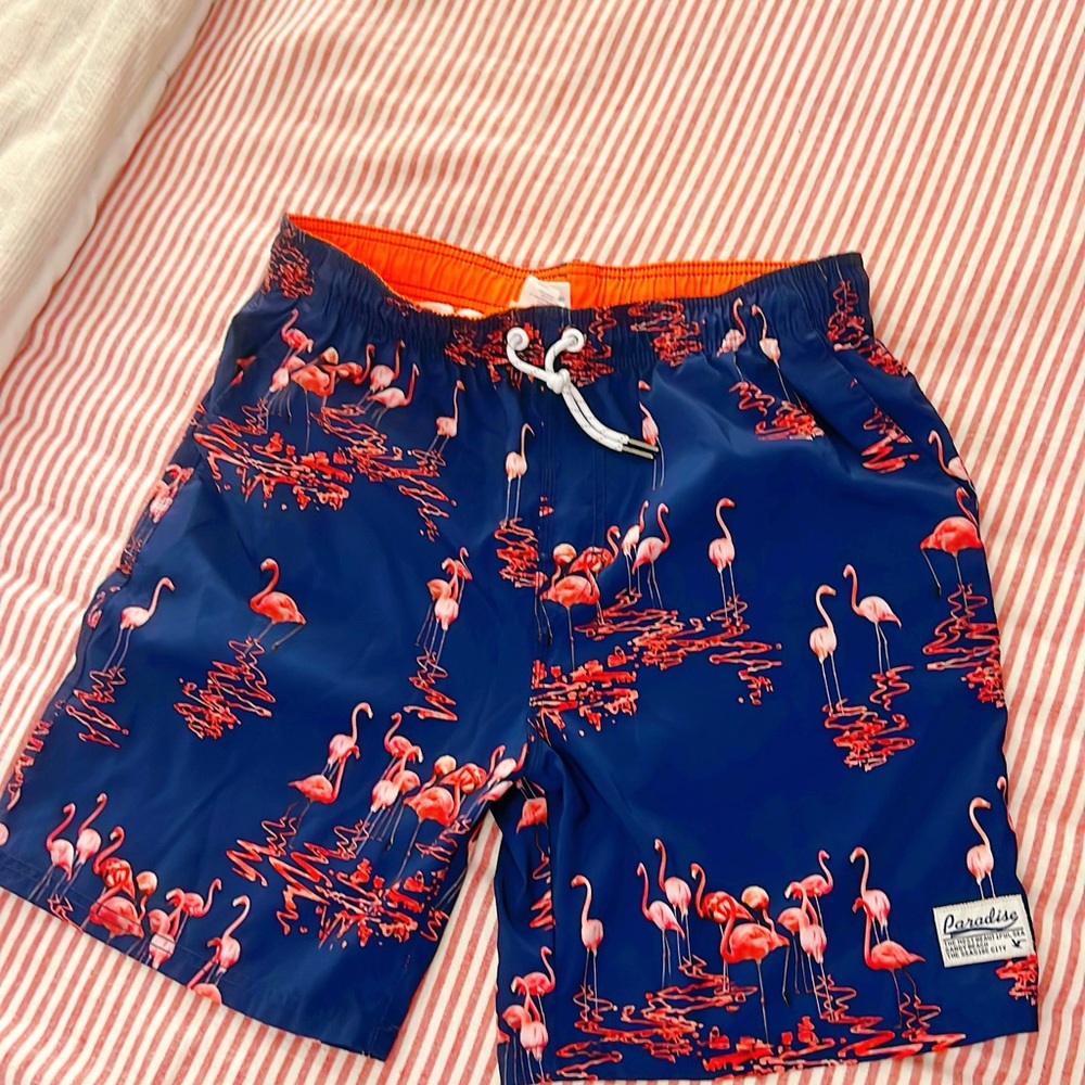 GAILANG Shorts Men SIZE 37 Blue Wavefarer Taco Swim Nylon Quick Dry Pockets